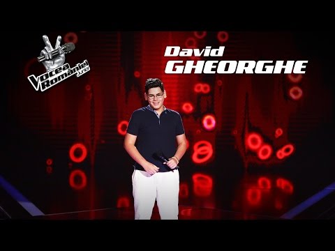 David Gheorghe - Summertime | Auditiile pe nevazute | VRJ 2017