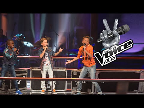 Alexander vs. Beau vs. Gemario - Wat Zou Je Doen | The Voice Kids 2016 | The Battle